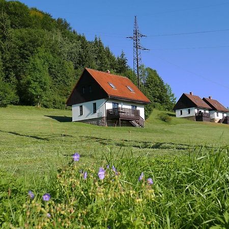 Villa Green Valley Park Stárkov Exterior foto