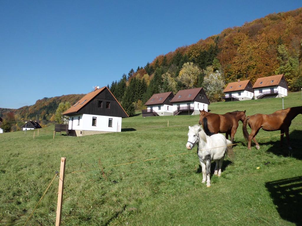 Villa Green Valley Park Stárkov Exterior foto