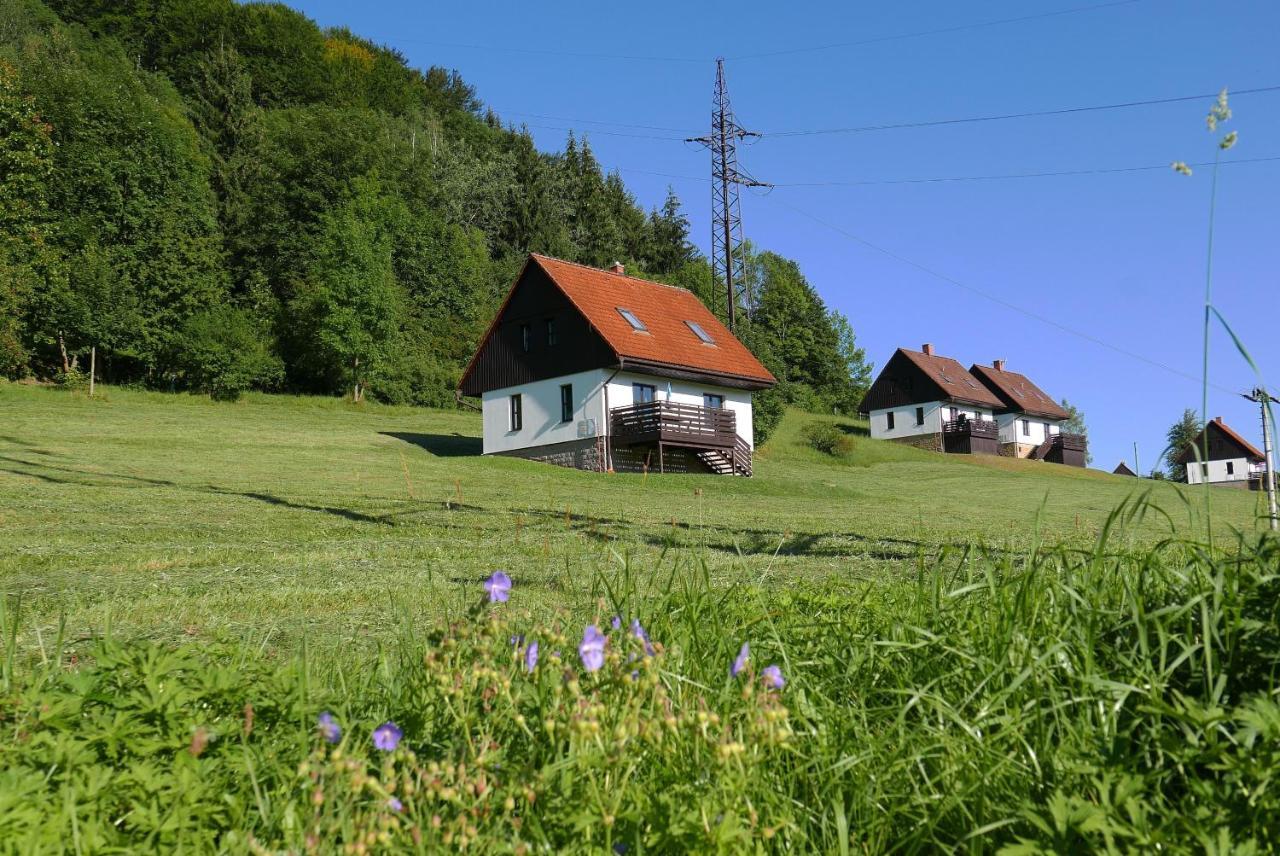 Villa Green Valley Park Stárkov Exterior foto